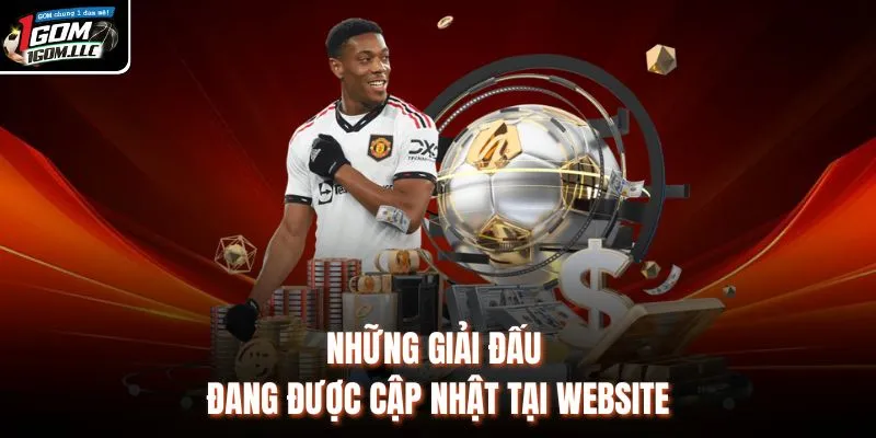 Những giải đấu đang được cập nhật tại website